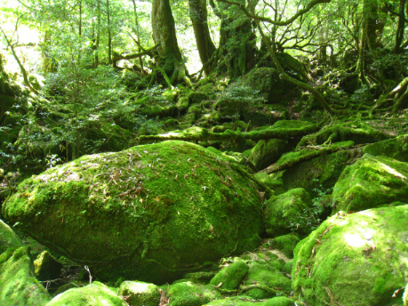 f:id:masarutti2:20140611221216j:image:w360 f:id:masarutti2:20140611221216j:image:w360