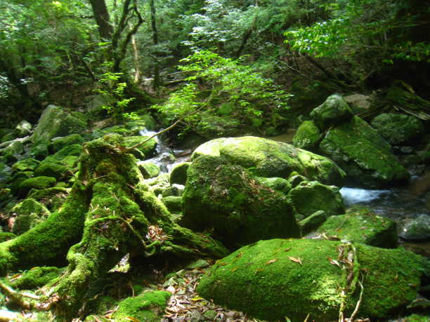 f:id:masarutti2:20140611222016j:image:w360 f:id:masarutti2:20140611222016j:image:w360