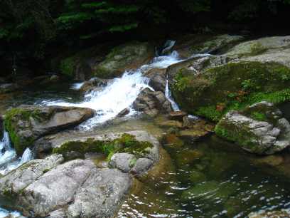 f:id:masarutti2:20140611223134j:image:w360 f:id:masarutti2:20140611223134j:image:w360