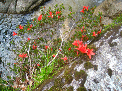 f:id:masarutti2:20140611223225j:image:w360 f:id:masarutti2:20140611223225j:image:w360