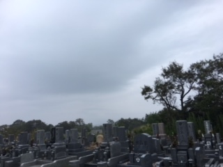f:id:masasarah:20180920144152j:plain f:id:masasarah:20180920144152j:plain
