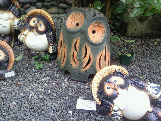 京都・神戸ミミズクの旅