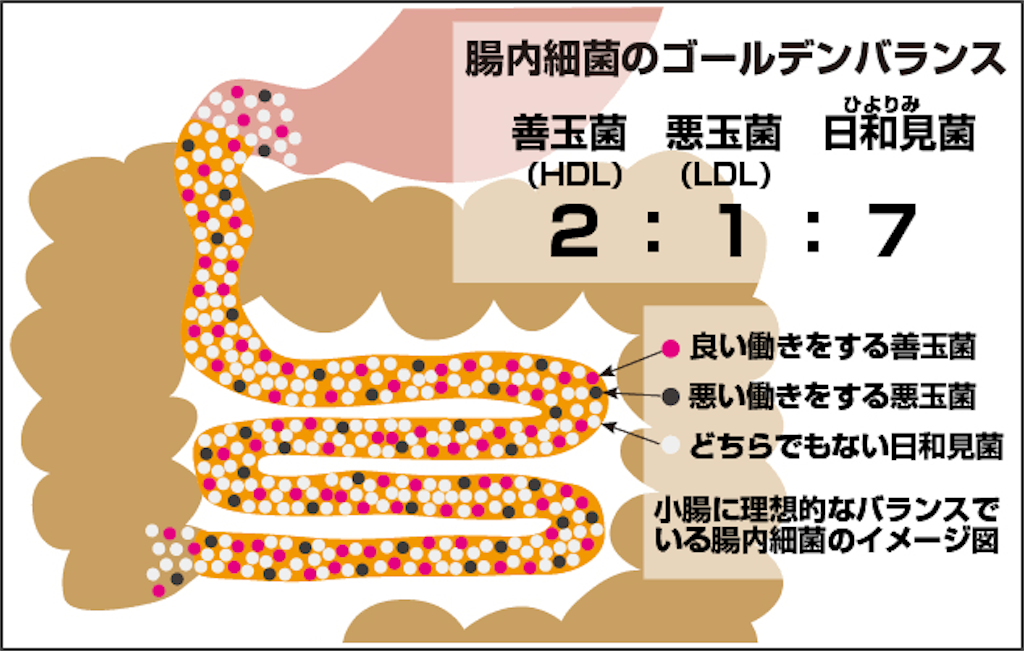 f:id:masataka1011:20190924152240p:image