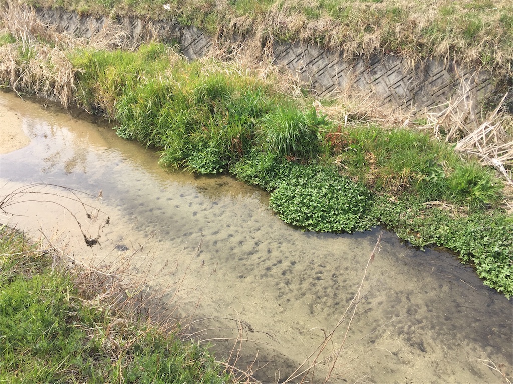 f:id:masataka173:20170326184746j:image