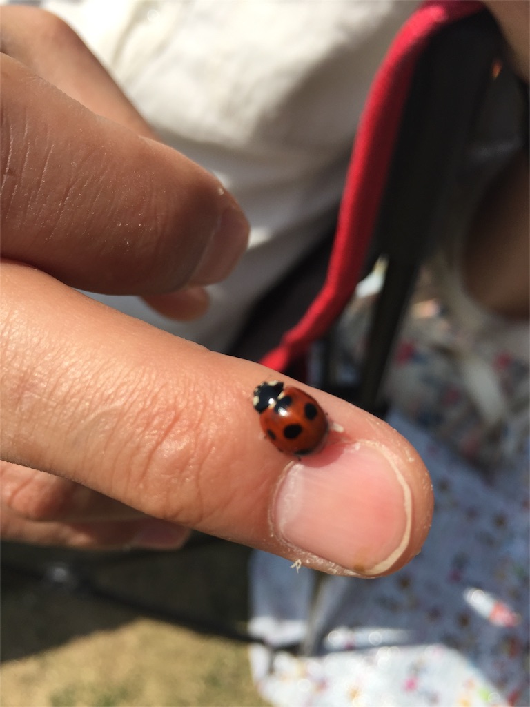 f:id:masataka173:20170415190904j:image