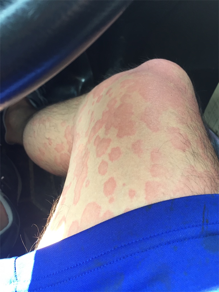 f:id:masataka173:20170530214700j:image