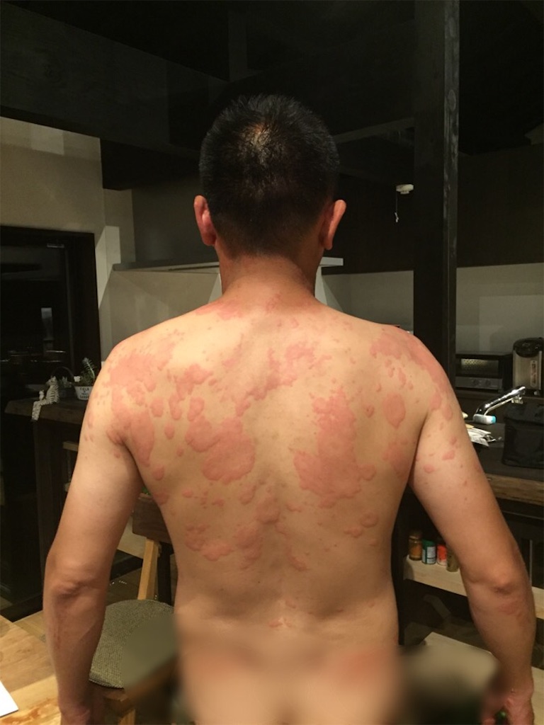 f:id:masataka173:20170530215034j:image