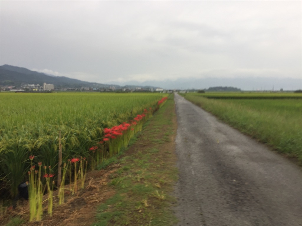 f:id:masataka173:20170916192830j:image