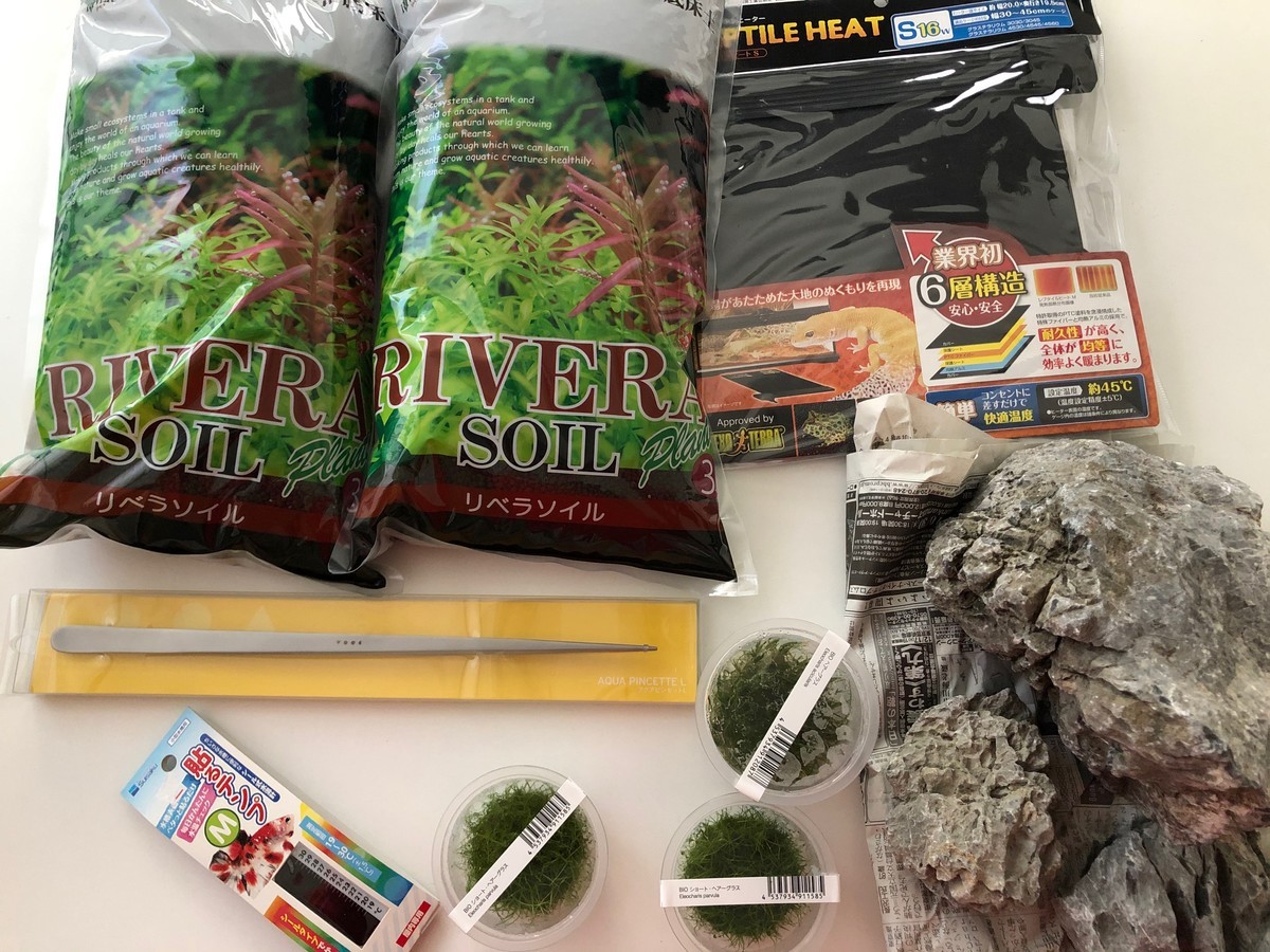 f:id:masataka_k:20191214135558j:plain