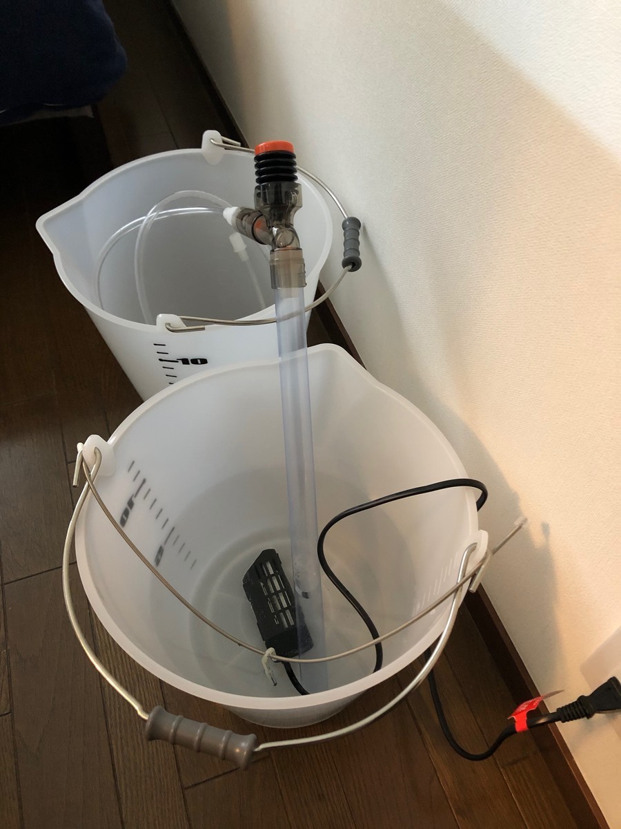 f:id:masataka_k:20200306184247j:plain