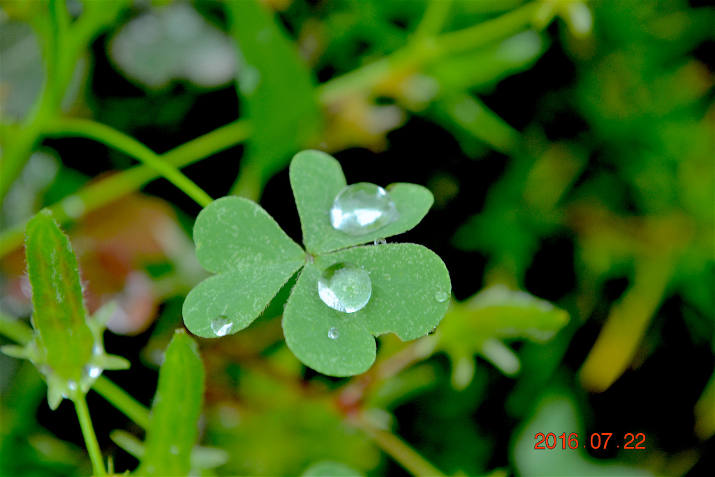 f:id:masatdm1951:20160722161436j:plain f:id:masatdm1951:20160722161436j:plain