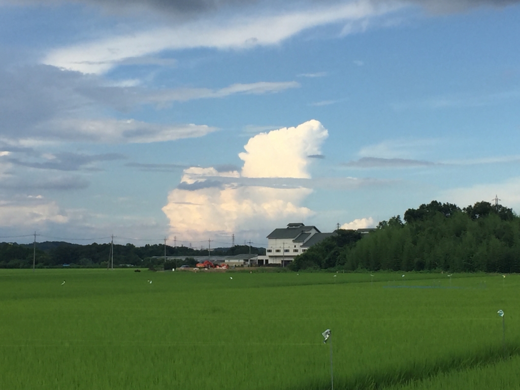 f:id:masatdm1951:20160801154248j:plain