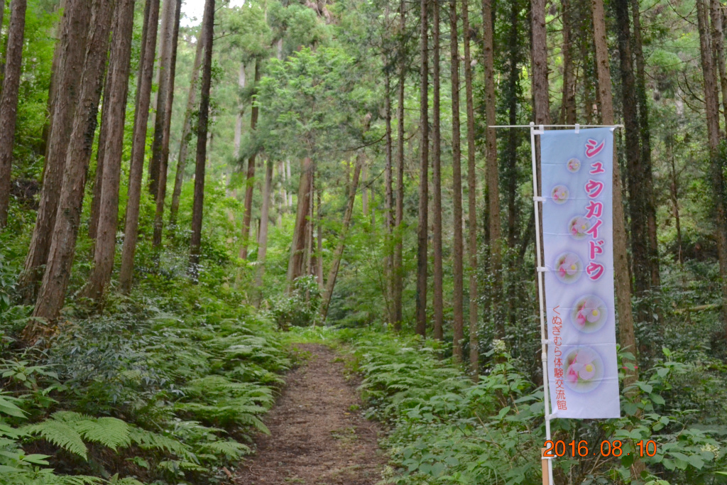 f:id:masatdm1951:20160810170629j:plain