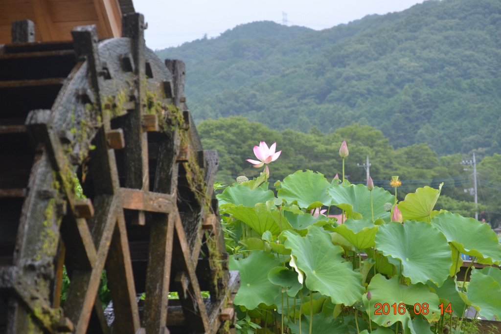 f:id:masatdm1951:20160814204751j:plain