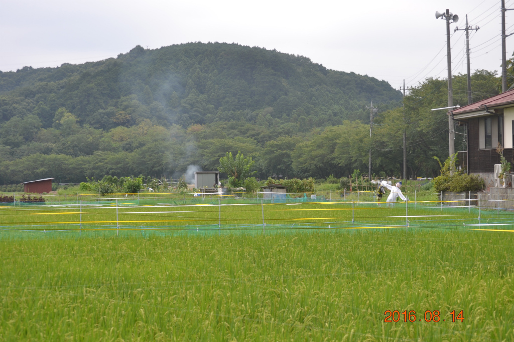 f:id:masatdm1951:20160814204819j:plain