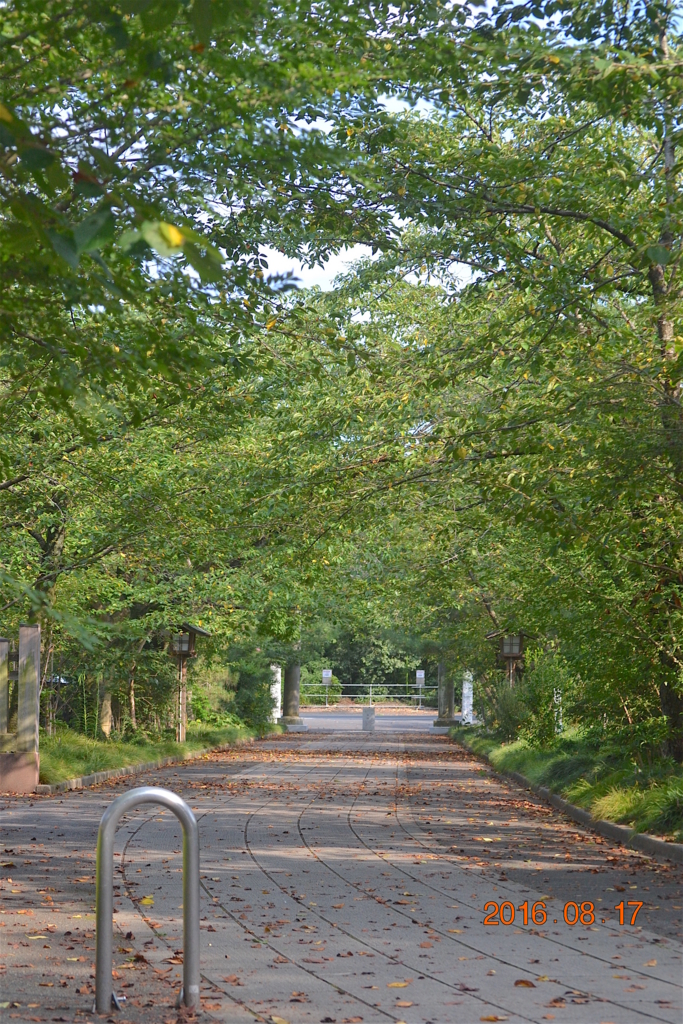 f:id:masatdm1951:20160817155256j:plain