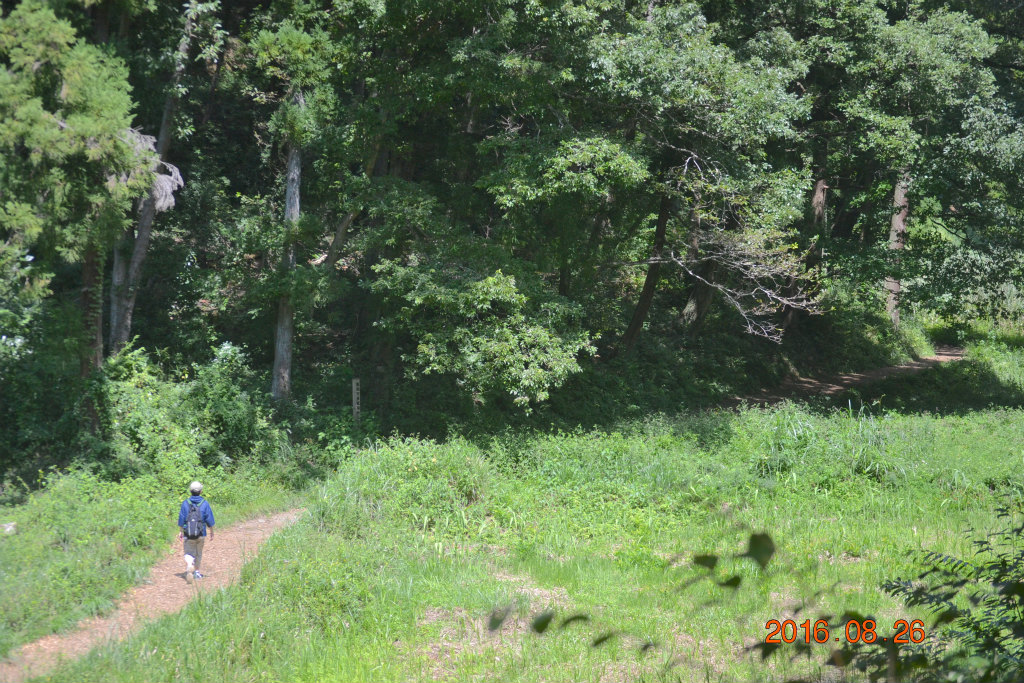 f:id:masatdm1951:20160826142655j:plain f:id:masatdm1951:20160826142655j:plain