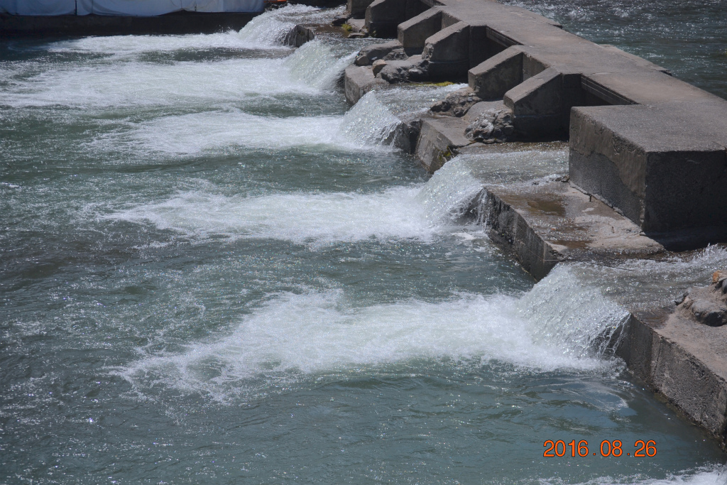 f:id:masatdm1951:20160826143054j:plain f:id:masatdm1951:20160826143054j:plain