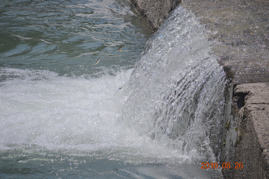 f:id:masatdm1951:20160826143151j:plain f:id:masatdm1951:20160826143151j:plain