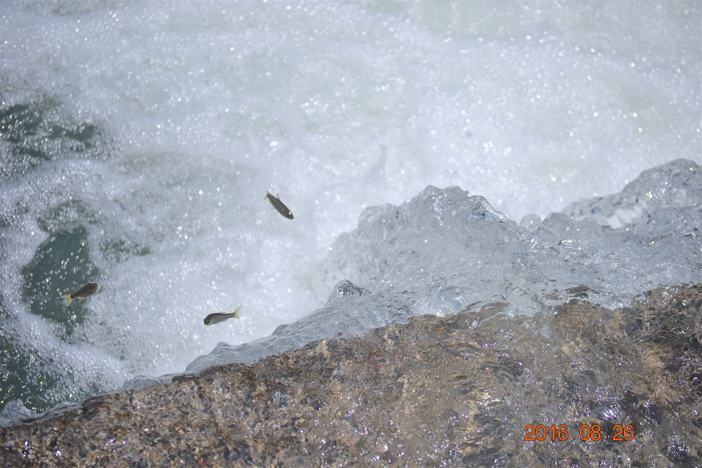 f:id:masatdm1951:20160826143159j:plain f:id:masatdm1951:20160826143159j:plain