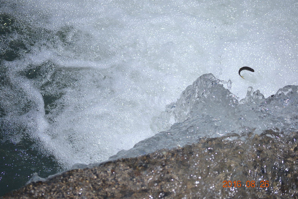 f:id:masatdm1951:20160826143209j:plain f:id:masatdm1951:20160826143209j:plain