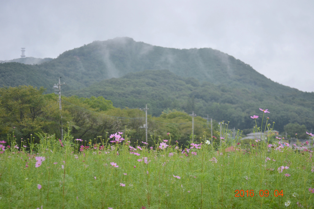 f:id:masatdm1951:20160904131243j:plain