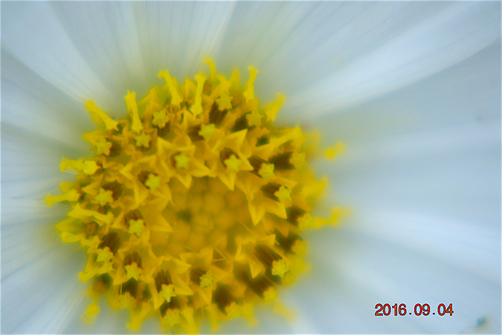 f:id:masatdm1951:20160904131418j:plain