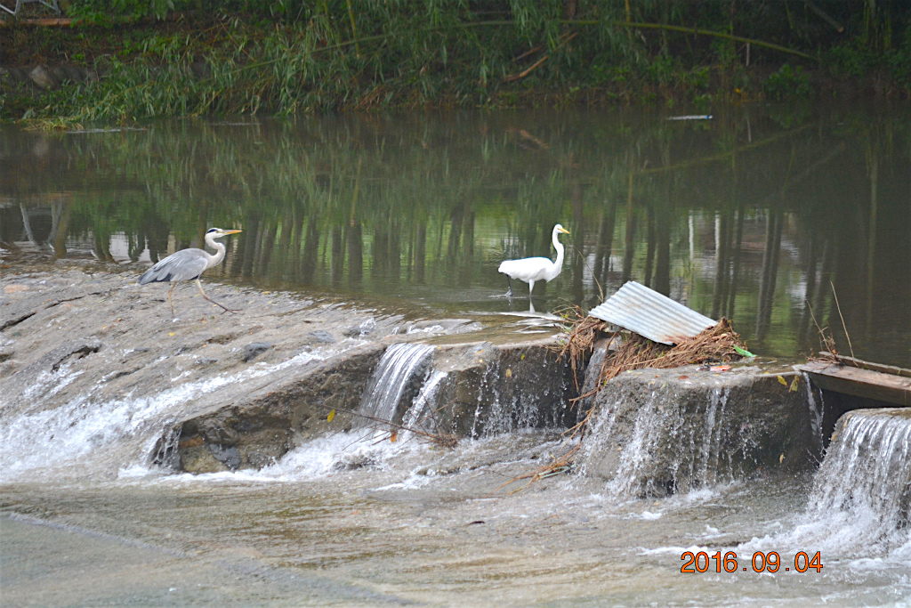 f:id:masatdm1951:20160904131618j:plain