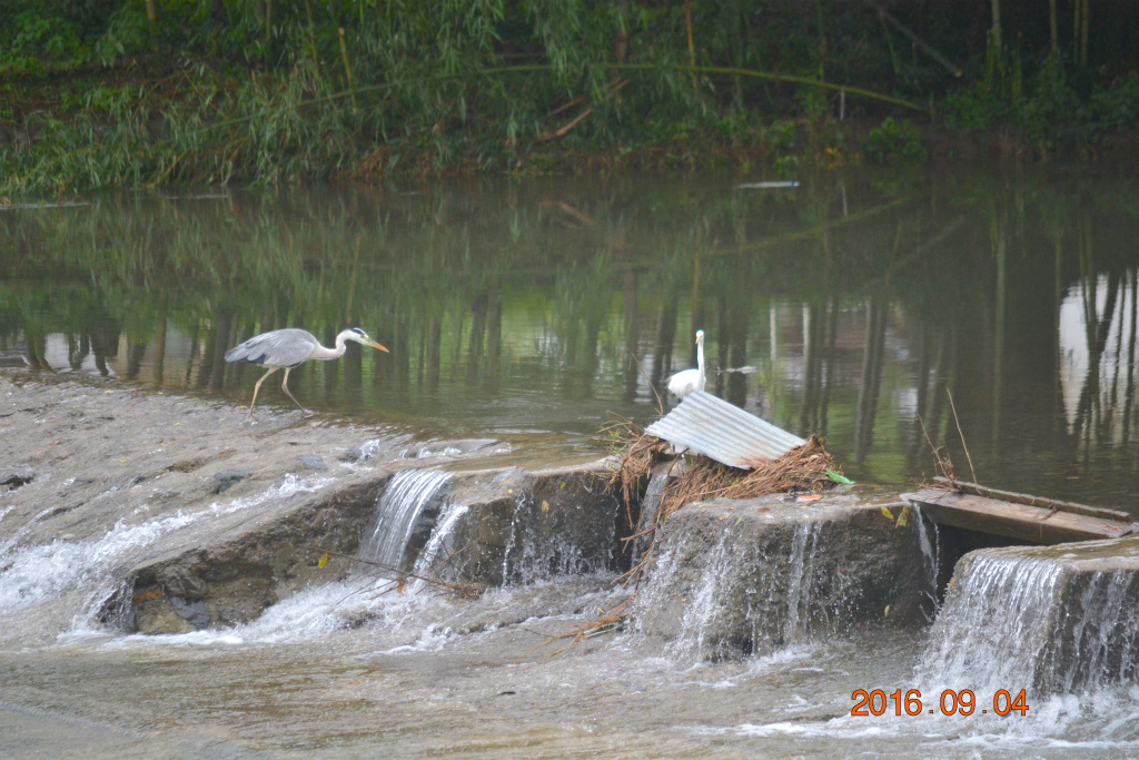 f:id:masatdm1951:20160904131628j:plain