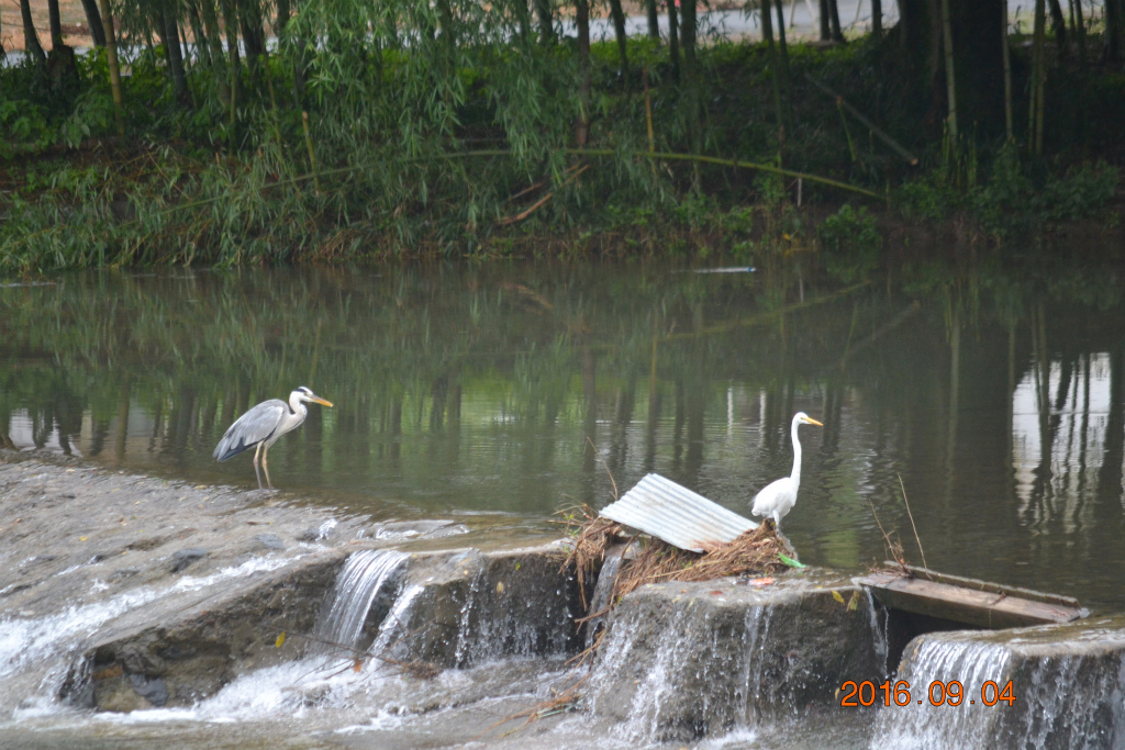 f:id:masatdm1951:20160904131640j:plain