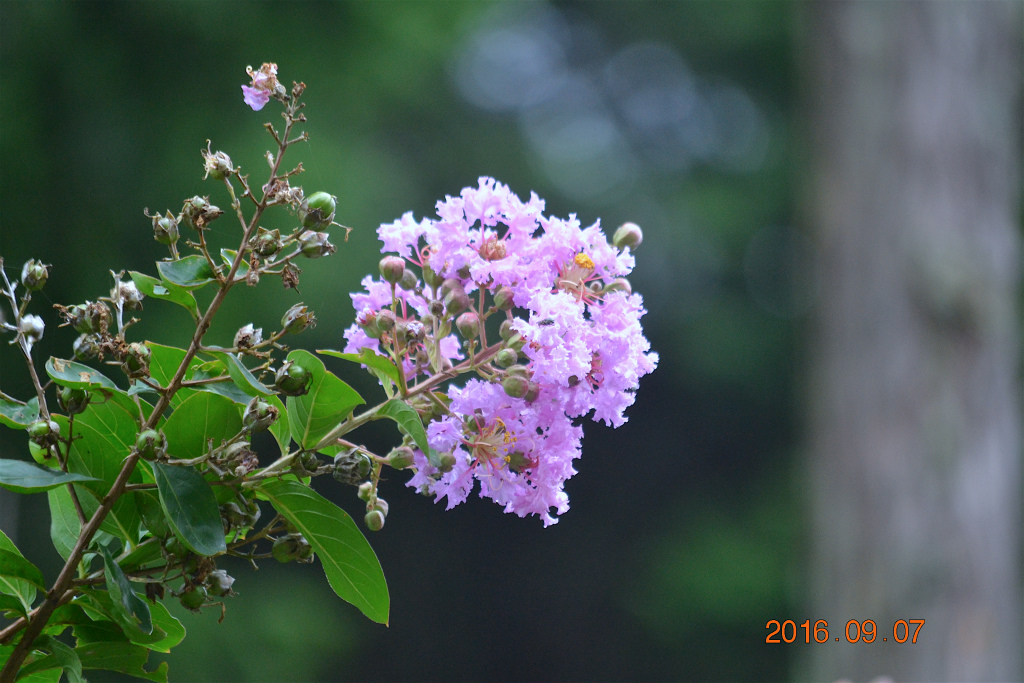 f:id:masatdm1951:20160907192745j:plain