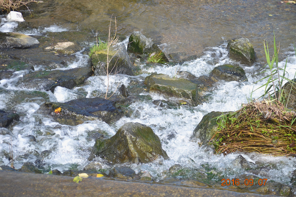 f:id:masatdm1951:20160907192855j:plain