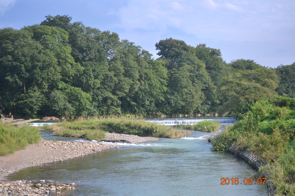 f:id:masatdm1951:20160907193001j:plain