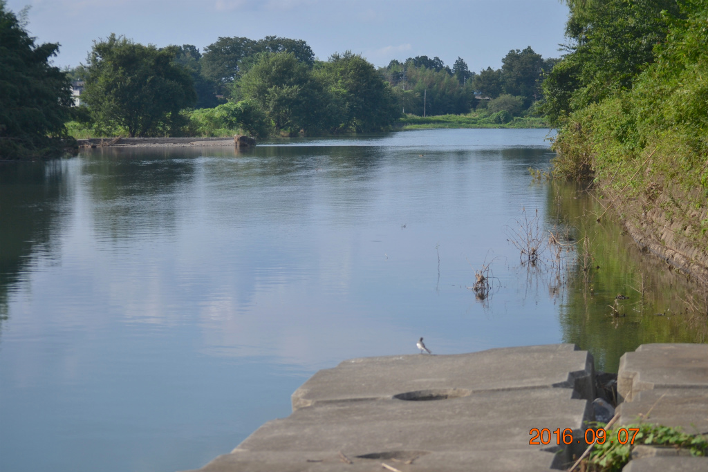 f:id:masatdm1951:20160907193104j:plain