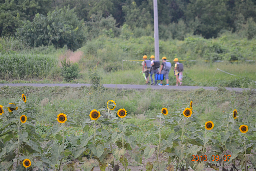 f:id:masatdm1951:20160907193318j:plain