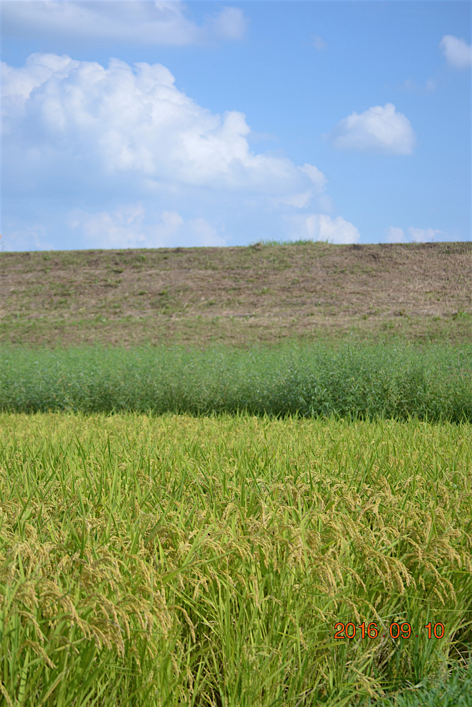 f:id:masatdm1951:20160910195356j:plain