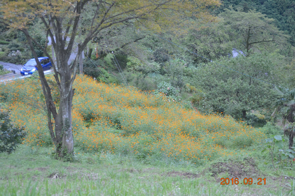 f:id:masatdm1951:20160921195316j:plain