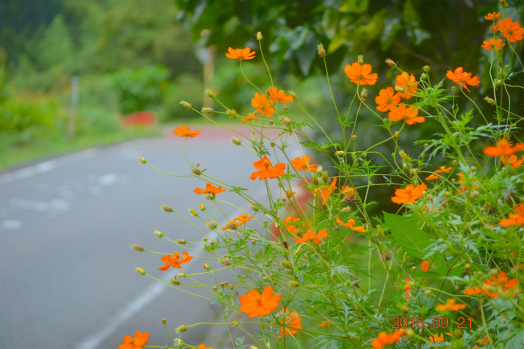 f:id:masatdm1951:20160921195440j:plain