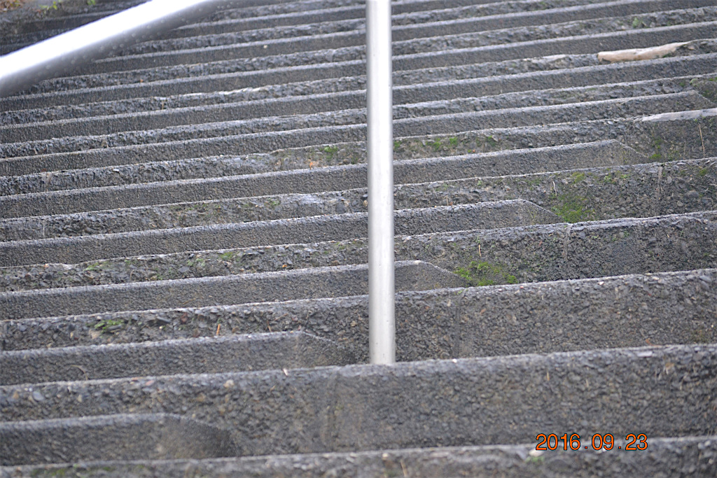 f:id:masatdm1951:20160923232812j:plain