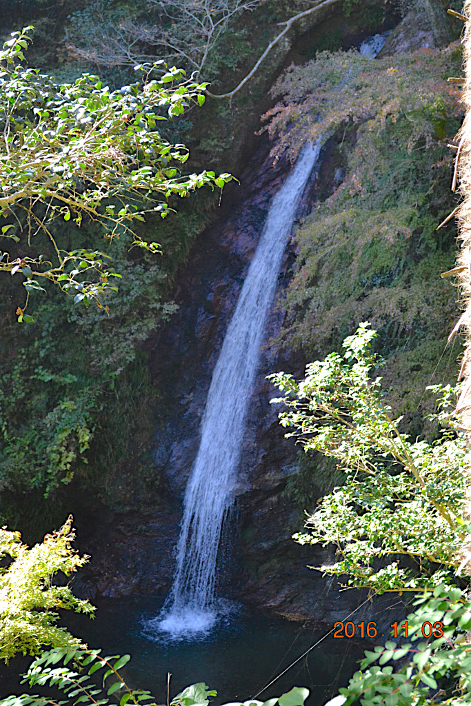 f:id:masatdm1951:20161103171133j:plain f:id:masatdm1951:20161103171133j:plain