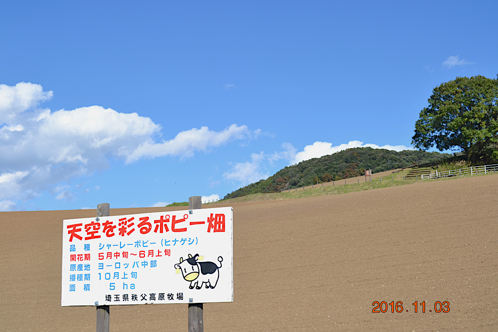 f:id:masatdm1951:20161103171313j:plain f:id:masatdm1951:20161103171313j:plain