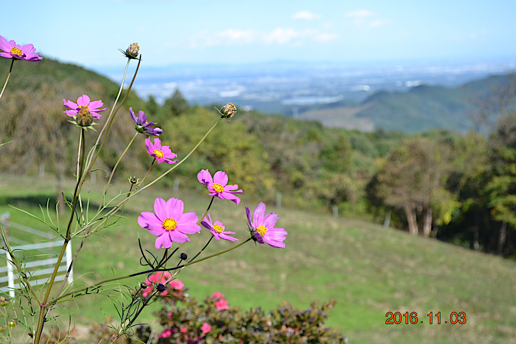 f:id:masatdm1951:20161103171412j:plain f:id:masatdm1951:20161103171412j:plain