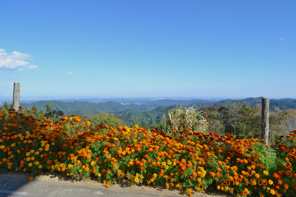 f:id:masatdm1951:20161103171433j:plain f:id:masatdm1951:20161103171433j:plain