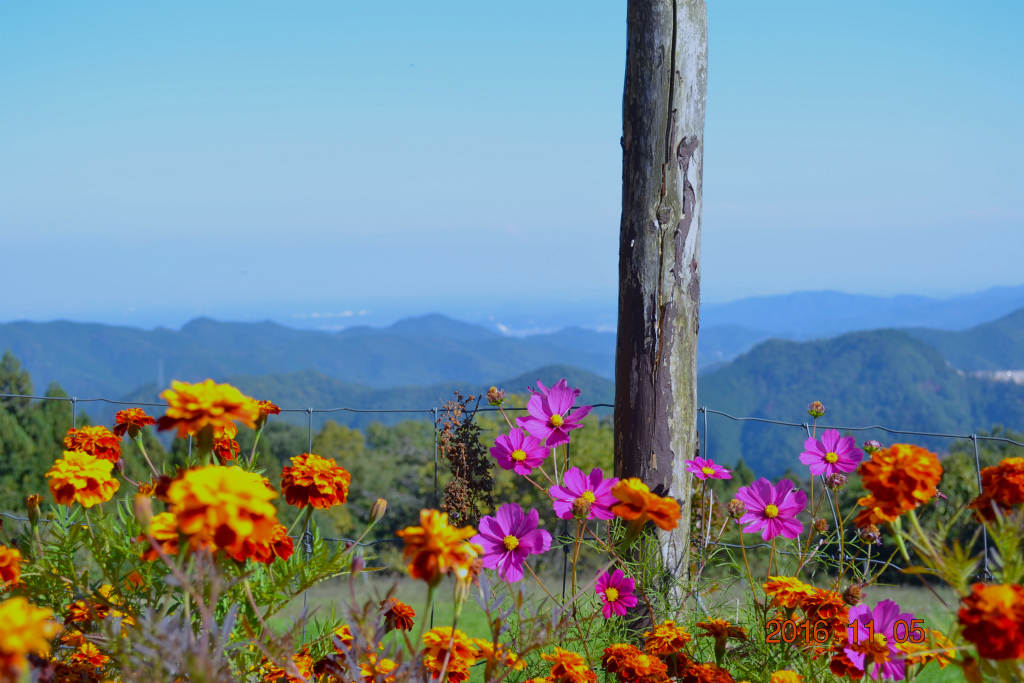 f:id:masatdm1951:20161106183444j:plain f:id:masatdm1951:20161106183444j:plain