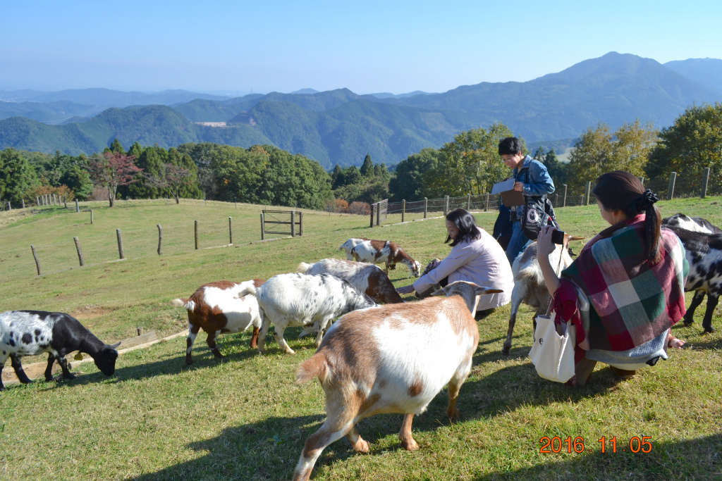 f:id:masatdm1951:20161106183452j:plain f:id:masatdm1951:20161106183452j:plain