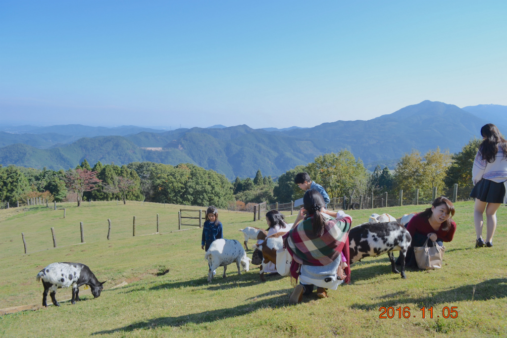 f:id:masatdm1951:20161106183511j:plain f:id:masatdm1951:20161106183511j:plain