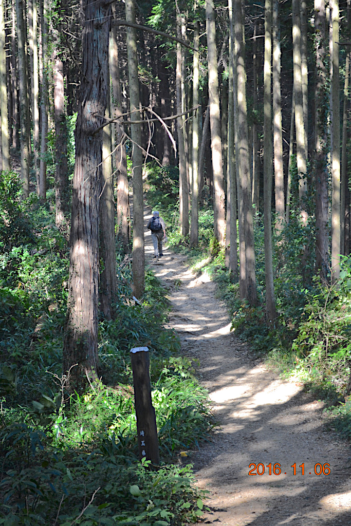 f:id:masatdm1951:20161107215157j:plain f:id:masatdm1951:20161107215157j:plain