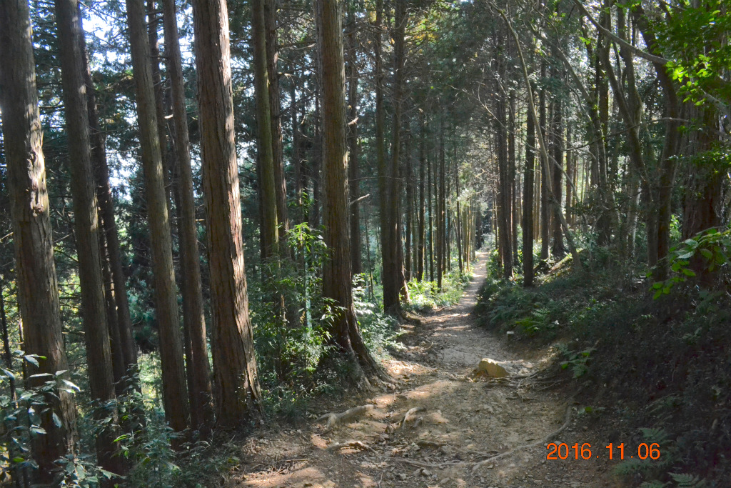 f:id:masatdm1951:20161107215245j:plain f:id:masatdm1951:20161107215245j:plain