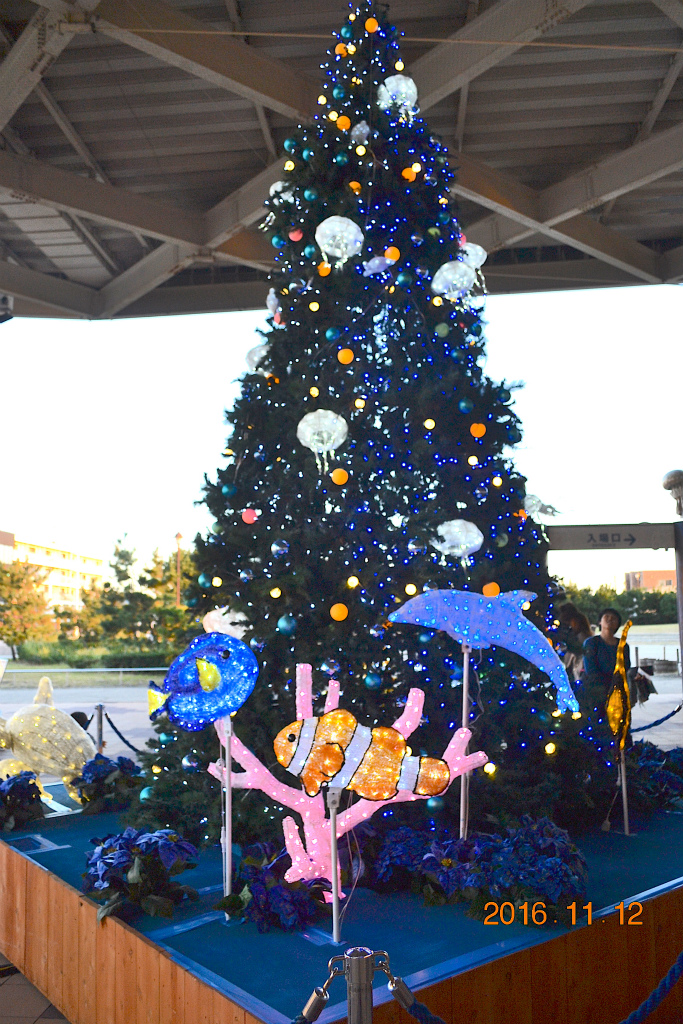 f:id:masatdm1951:20161116123859j:plain f:id:masatdm1951:20161116123859j:plain