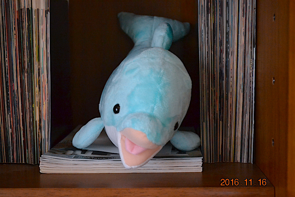 f:id:masatdm1951:20161116124222j:plain f:id:masatdm1951:20161116124222j:plain